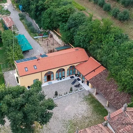 Portami In Collina *